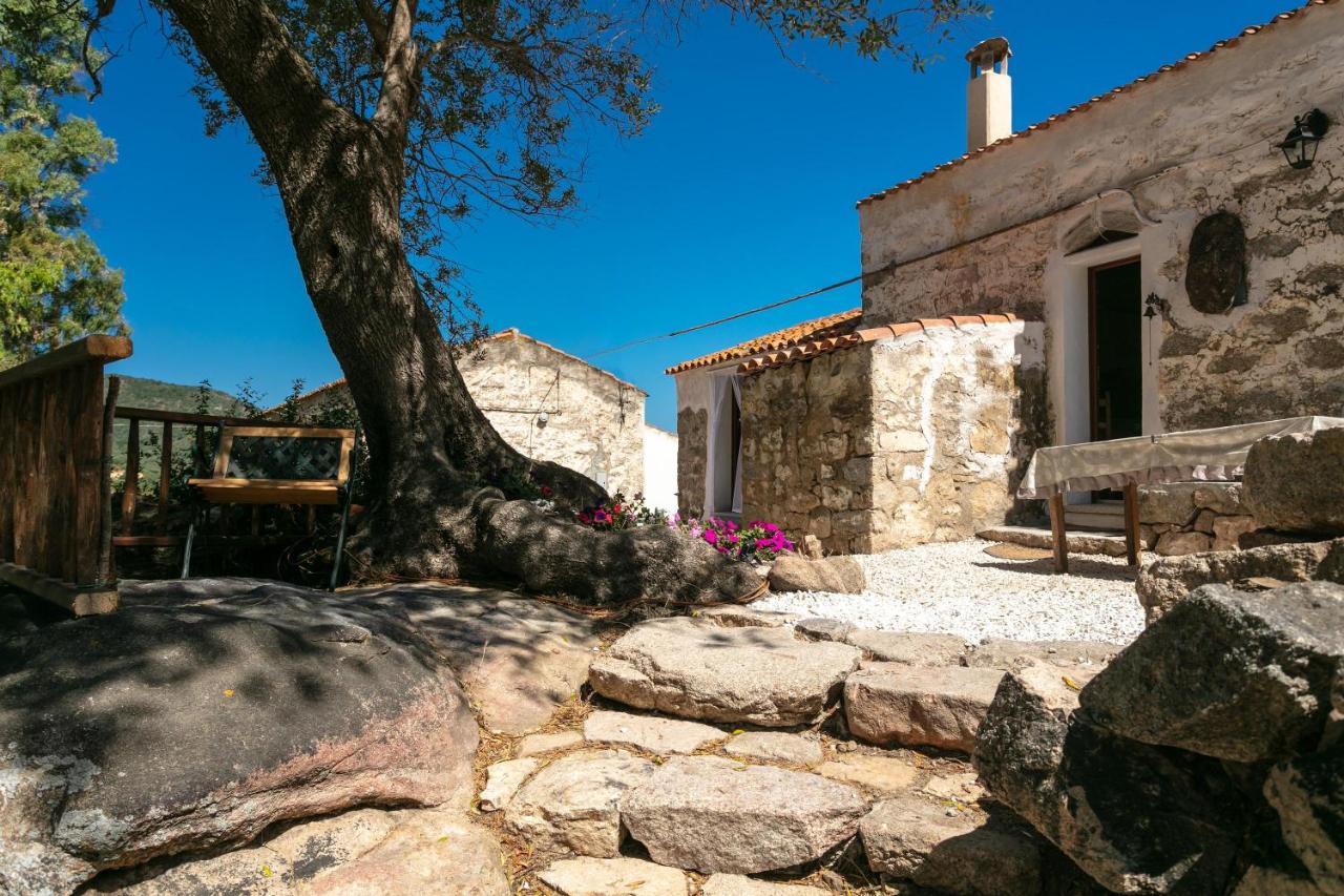Casa Vacanza Stazzu Saiacciu Палау Экстерьер фото